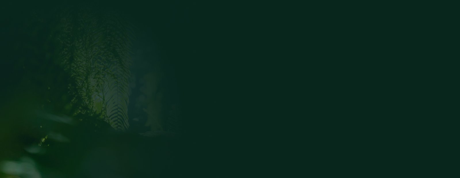 Căn Hộ Emerald 68 2 Background hero