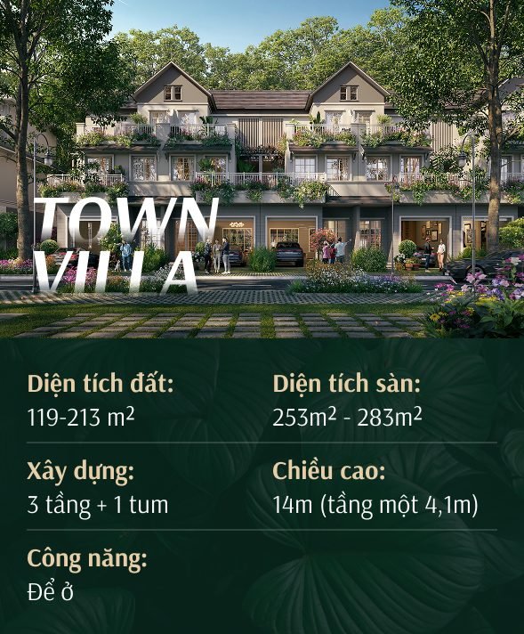 Căn Hộ Emerald 68 29 Town Villa 2 589x712 1